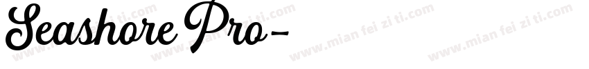 Seashore Pro字体转换